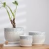 Ton Sin Grey Flower Pots,Texture Planter for Indoor Plants Set of 3 Ceramic Flower Pots with Saucer,Cute Garden Pots Succulent Pots(3 Pack,Grey - Image 3