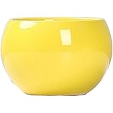 WAOCEO Planters Plant Pots Round Ceramic Small PotsFlower Pots Solid Color Round Garden SuppliesPlanters with Drainage Holes