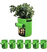 Gardzen 6 Pack BPA-Free 10 Gallon Vegetable Grow Bags with Access Flap and Handles, Suitable for ...