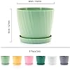 UOUZ 6'' Plant Pots Bulk, 6 Pack Plastic Planters with Drainage Holes and Saucers for Indoor Outdoor House Plants and Flowers, Colorful - Image 3