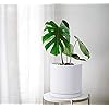 D'vine Dev 10 Inch Ceramic Planter Pot with Drainage Hole and Saucer, Indoor Cylinder Round Planter Pot, White, 94-O-L-1 - Image 2