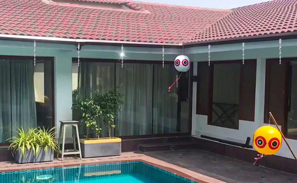 Effective Bird Deterrent: