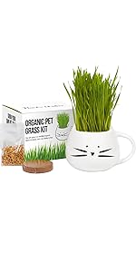 cat grass growing kit, grass for dogs, pet gift, hairball remedy, hairball prevention, organic seed