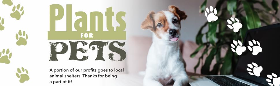 PLANTS FOR PETS MISSION STATEMENT BANNER