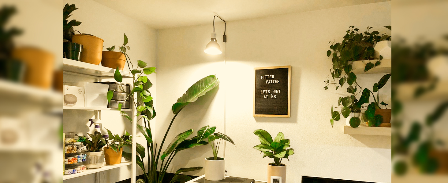 grow light bulb