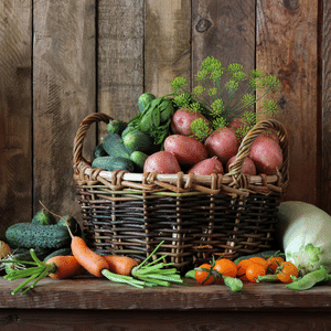 vegetable seeds for planting home garden plant seeds vegetable plants seeds greenhouse homesteading