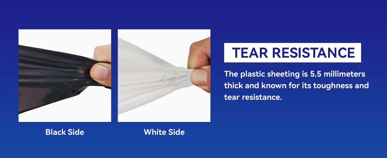 black and white film