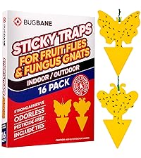 stick traps for fungus gnats