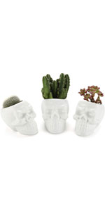 Skull Shaped Pot