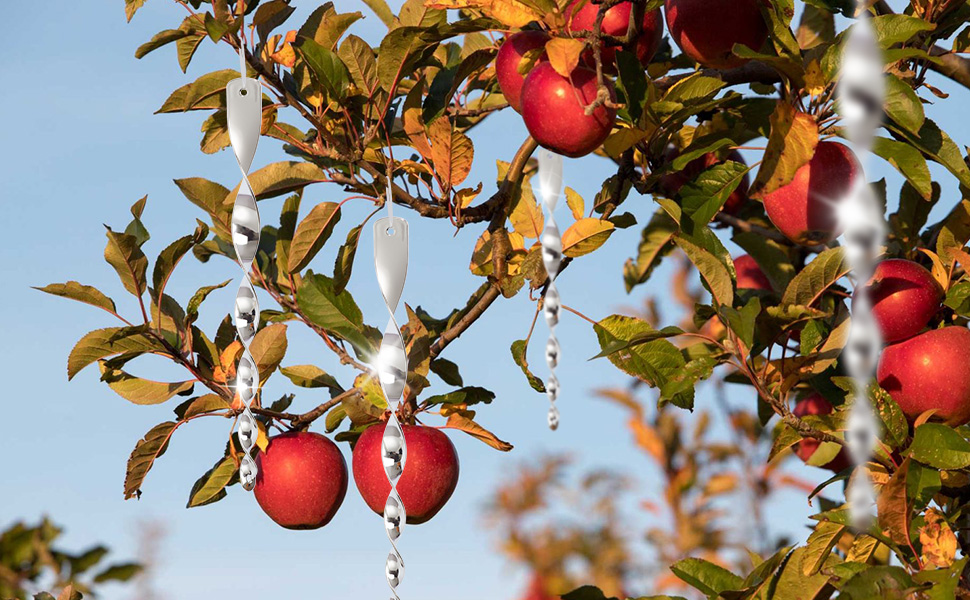 Are you tired of pesky birds causing a mess and damage to your property?