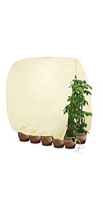 frost blankets for outdoor plants