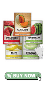 Fruit seeds watermelon seeds for planting cantaloupe sugar baby garden honey dew semillas de sandia