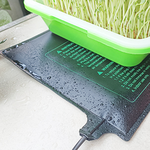 Speed up seed germination