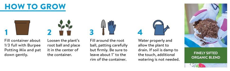 plant pot, potting soil, indoor plants, coco coir, house plants, potting soil indoor plants, flower