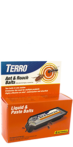 ant and roach bait and trap