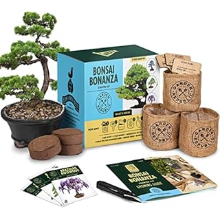 Bonsai Tree Kit - Grow 3 Mini Bonsai Trees, Indoor Plant Growing Kit - Bonsai Starter Kit with Bonsai Seeds, Soil, Planters & Shears, Gardening Gifts for Women, Fathers Day Gardening Gifts