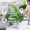 Classy Casita Soil Moisture Meter: Houseplant Care with eBook - Hydrometer Sensor For Plants - Essential Moisture Meter for Indoor & Outdoor Plants - Gardening Gadgets & Houseplant Accessories - White - Image 2