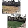 EnviroColor 4EG0032 851612002100 (1,000 Sq.Ft) 4Evergreen Grass & Turf Paint, Green - Image 3