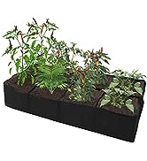 Gardzen 2 Pack Divided Raised Vegetable Bed, Square Foot Gardening 2Feet x 4Feet - Having Your Ow...