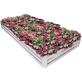 Sunnydaze 4 x 8 ft Galvanized Steel Rectangular Raised Garden Bed - for Flowers, Plants, and Vegetables - Silver