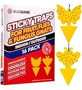 Fungus Gnat Sticky Traps For Plants. 16 Pack Gnat Traps with Ties. Yellow Sticky Traps for Gnats,...