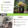Ksalltol Plant Pots Indoor 5.7/4.6/4 Inch, Quartzite Pots for Planting with Drainage Holes, Black - Image 3