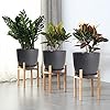 WOUSIWER Plant Pots 10/9/8 inch, Set of 3 Modern Decorative Plastic Planters with Drainage Holes and Saucers for House Plants Indoor Flowers Plants, Black - Image 3