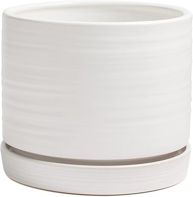 HERDUK 8 Inch Pots for Plants, Ceramic Planter Pot with Drainage Hole & Saucer, Indoor/Outdoor Cylinder Round Planter Pot, Matte White
