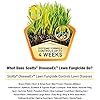 Scotts DiseaseEx Lawn Fungicide, Controls and Prevents Disease Up to 4 Weeks, Treats Up to 5,000 sq. ft., 10 lbs. - Image 3