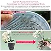 Meshpot 5 inch Orchid Pots with Holes for Repotting,Set of 2,Double Layer Plastic Imitate Ceramic Orchid Planter Provide Good Air Circulation,Clear Orchid Pot Match Decorative Orchid Container - Image 3