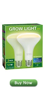 Grow Light Bulbs
