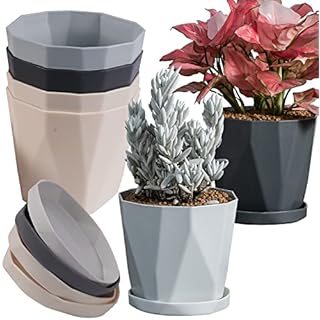 InmeRun Plant Pots 5 inch 6 Pack with Drainage Holes and Saucers Plastic Flower Pot Set Indoor Outdoor for Garden (5inch-6pcs)