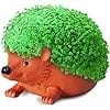 Chia Pet Hedgehog Decorative Pottery Planter with Seed Pack, Decorative Pottery Planter, Easy to Do and Fun to Grow, Novelty Gift, Perfect for Any Occasion - Image 3