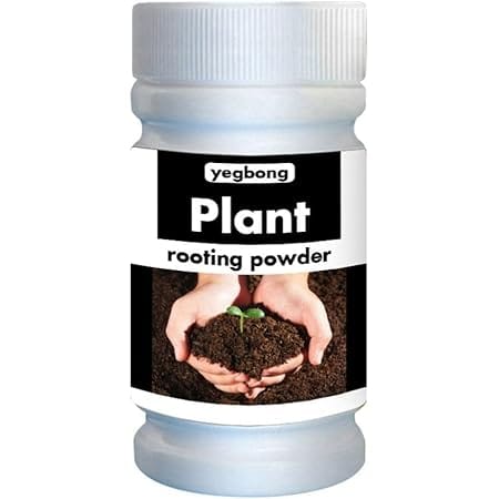 Alvinlite rooting powder for cuttings 50g, rooting hormone consists of amino acids, rooting powder, root stimulator, new plants from cuttings for indoor plants, shrubs
