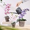 TRUEDAYS Orchid Pots with Holes Plastic Flower Plant Pot Clear Plastic Orchid Pot for Indoor Outdoor,2 Each of 4.5 Inch/5.5 Inch/7 Inch - 6 Pack - Image 3