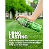 Seymour 20-602 Grass and Shrub Renew Spray Paint, Pristine Green (17 oz.) - Image 2