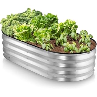 Galvanized Raised Garden Beds Outdoor // 4×2×1 ft Planter Raised Beds for Gardening, Vegetables, Flowers // Large Metal Garden Box (Silver)