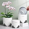 Meshpot 5 inch Orchid Pots with Holes for Repotting,Set of 2,Double Layer Plastic Imitate Ceramic Orchid Planter Provide Good Air Circulation,Clear Orchid Pot Match Decorative Orchid Container - Image 2