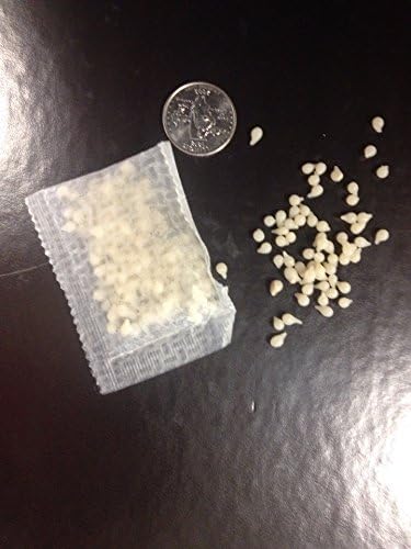 Nema Globe Nematodes Organic Insect Control Pot Popper, Controls Fungus Gnats, 8 Infusion Bio-pouches per Popper (8 Million Nematodes) - Image 2