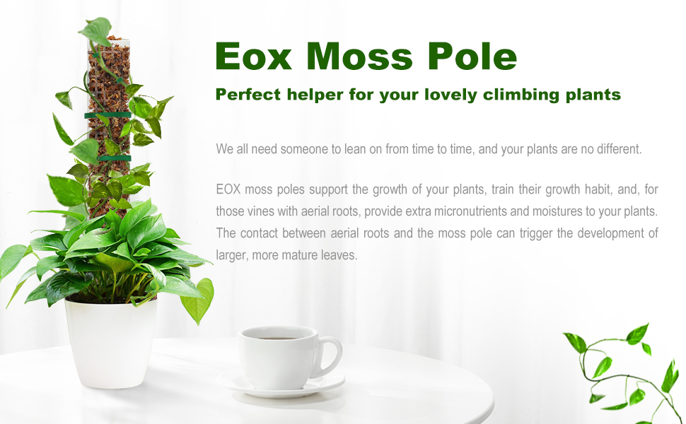 EOX Moss Pole