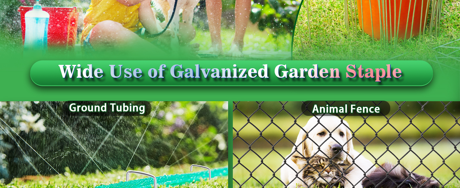 Landscape Staples-NEW04