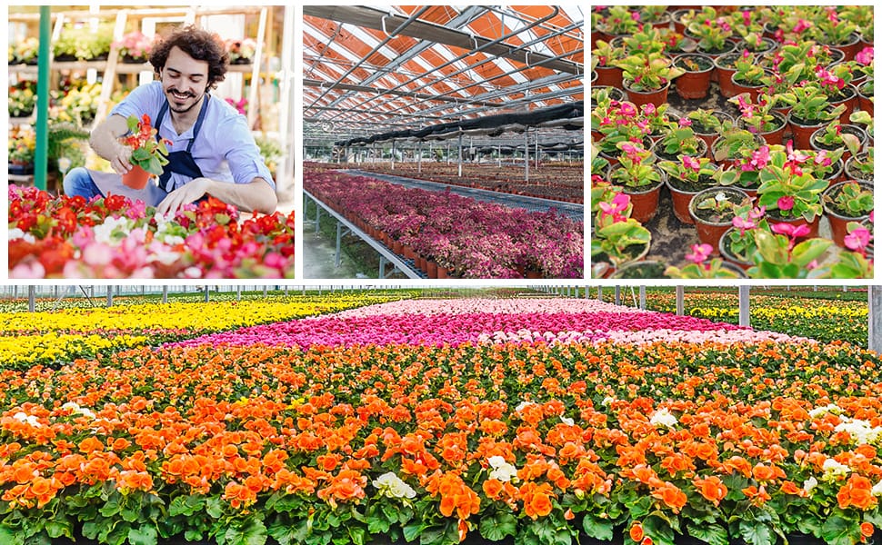 Plastic Plants Nursery Pot