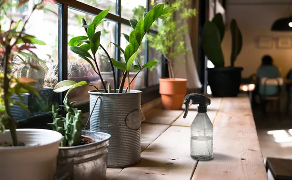 Spray bottle for plants