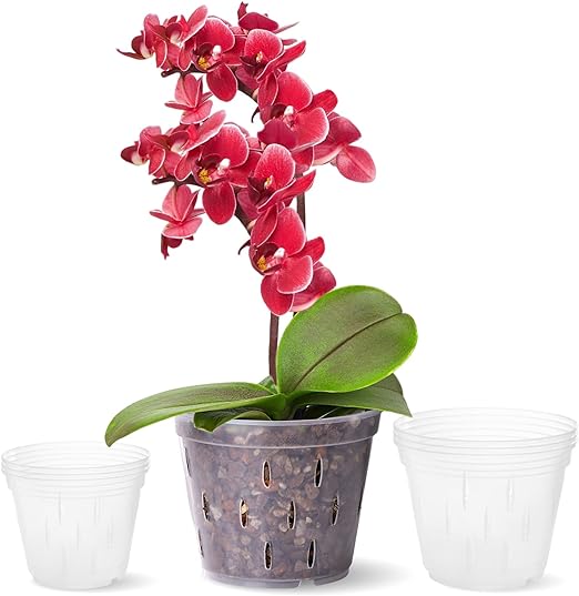 TRUEDAYS Orchid Pots with Holes Plastic Flower Plant Pot Clear Plastic Orchid Pot for Indoor Outdoor,2 Each of 4.5 Inch/5.5 Inch/7 Inch - 6 Pack