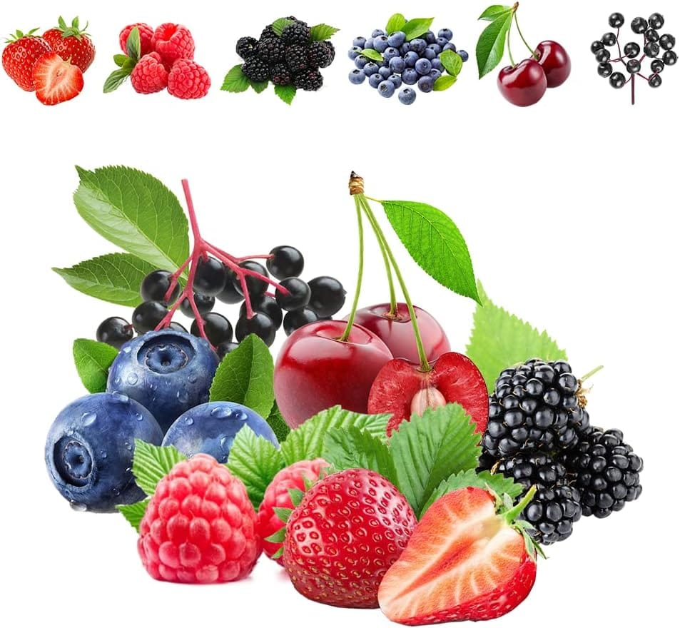 1100pcs Mixed Fruit Seeds Berry Seeds for Planting 200pcs Strawberry 200pcs Raspberry 200pcs Mulberry 200pcs Blueberry 200pcs Elderberry 10pcs Cherry - Individually Packaged