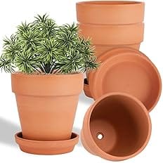 6 Inch Clay Pot for Plant with Saucer - 4 Pack Large Terra Cotta Plant Pot with Drainage Hole, Flower Pot with Tray, Terracot