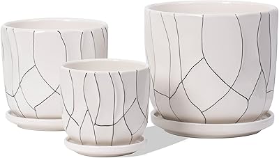 Plant Pots for Indoor, White Ceramic Flower Pots with Drainage Holes and Saucers, 6.7/5.5/4.3 Inch Cracked Lines Planters for Cactus Succulents Snakes(Set of 3)