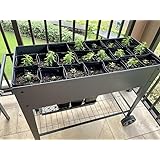 Sturdy Garden Bed, Raised Planter Box with Legs Outdoor Elevated Garden Bed On Wheels for Vegetables Flower Herb Patio