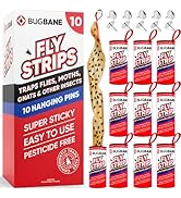 10 Fly Strips Indoor Sticky Hanging with Pins. Fly Trap Fly Paper Strips Indoor Hanging Fly Tape ...