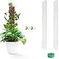EOX 24 Inch Plastic 2 Pcs Sphagnum Moss Pole for Plants Monstera, Climbing Plants, Support for Indoor Plants
